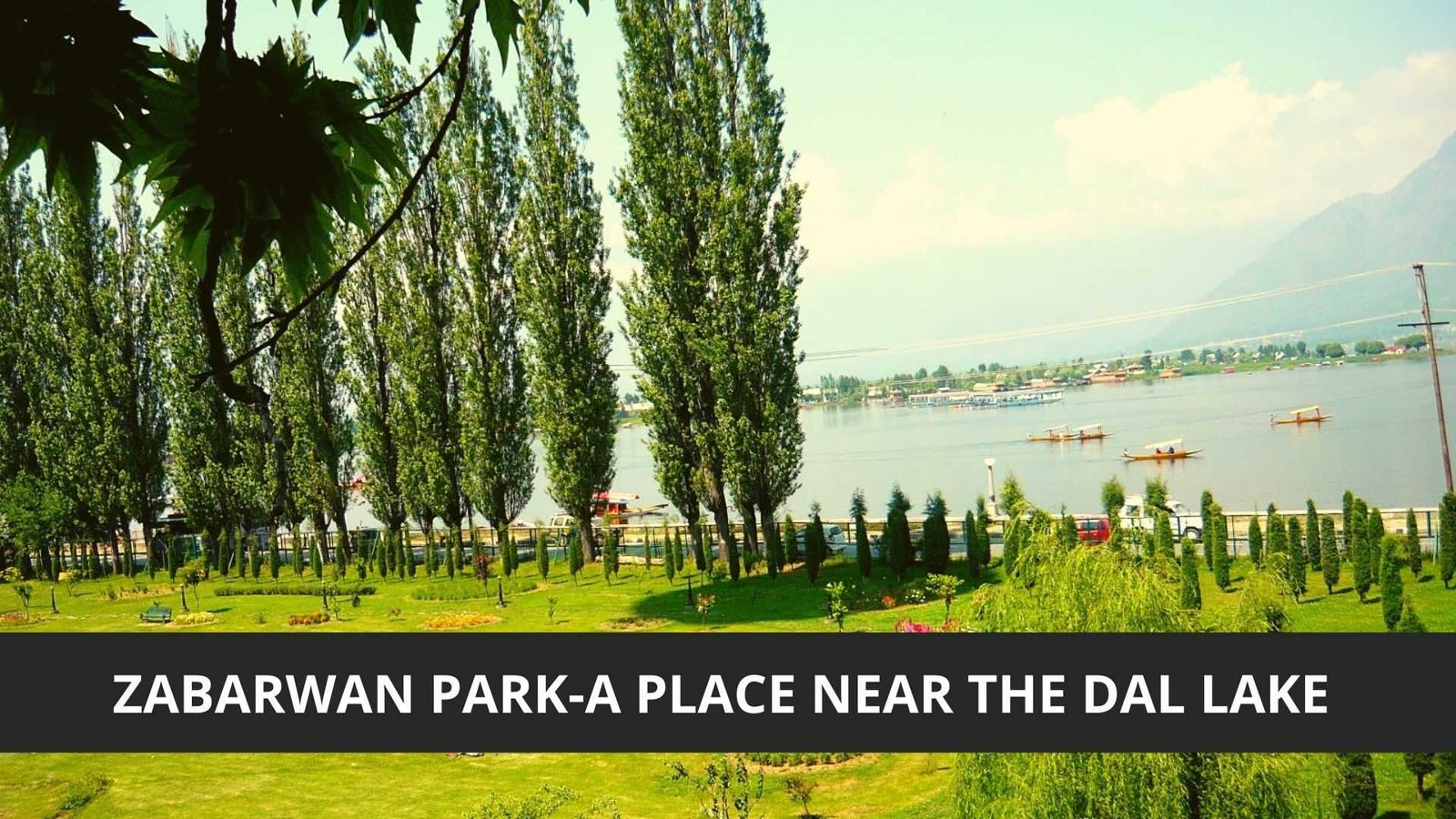 Zabarwan Park