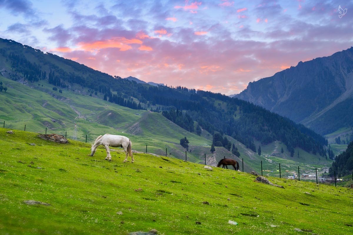 Sonmarg