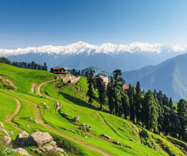 Patnitop